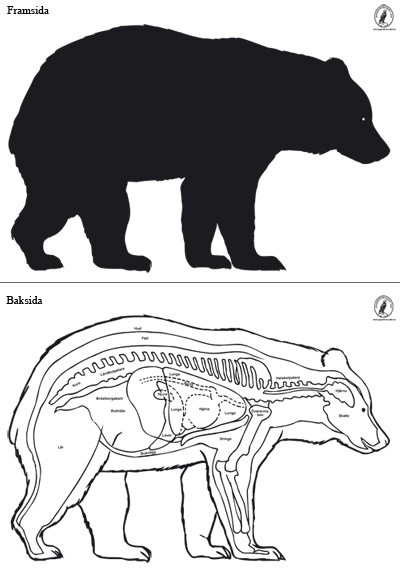 Björn höger stor, papper. 139x95 cm